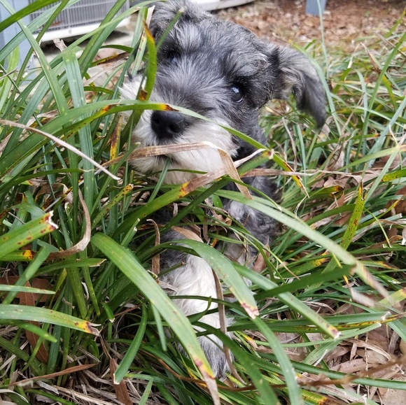 I ❤ VINTAGE - Picture 5 of 8